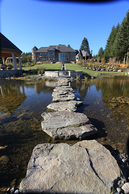 stepping stone 