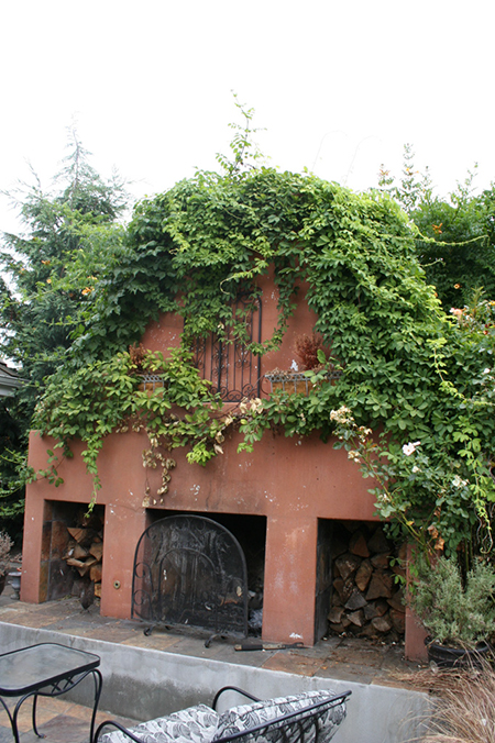fireplace with vines