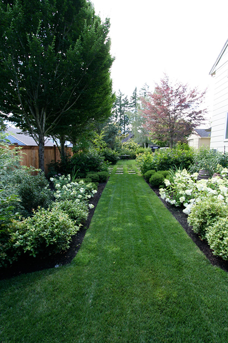 side lawn