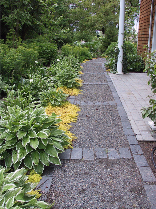 gravel path with cobble edging