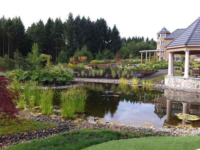 pond