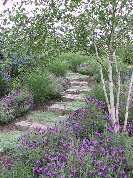 stone steps