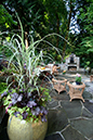 container planting heuchera and grasses