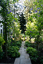 precut bluestone path in side yard