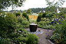 water pot with vista