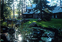 pond