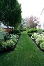 side lawn