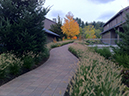 cobblestone path 