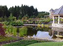 pond