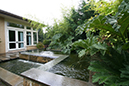 water feature with  gunnera