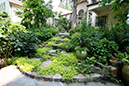 steps with ground cover 