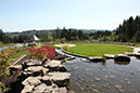 water feature (1)