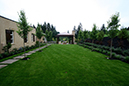 lawn