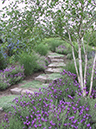 stone steps